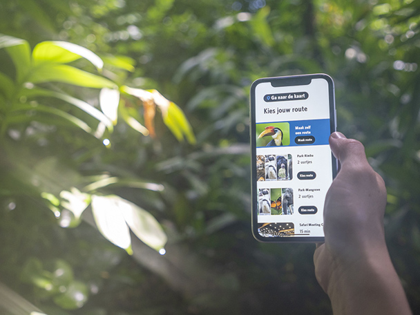 Find your way around Burgers' Zoo