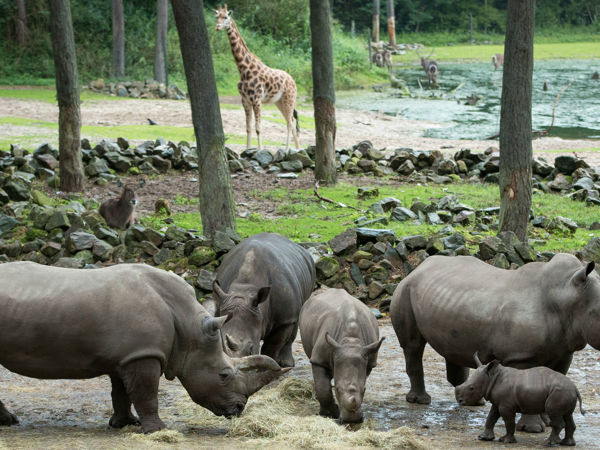 3c6ce57a-fe31-4c6a-841a-4f996707f35e