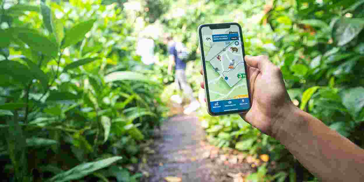 Augmented reality guides visitors through the jungle