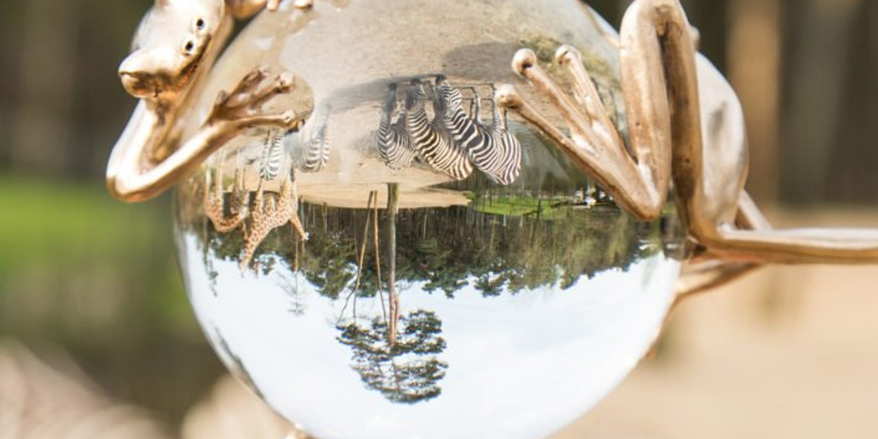 Future For Nature Awards for Panamanian Sea Turtles, Nepalese Snow Leopards and Puerto Rican Raptors