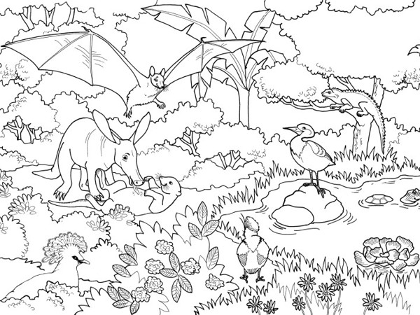 5ecb5dbd-27fa-4edd-9a35-5ebc91e43f88