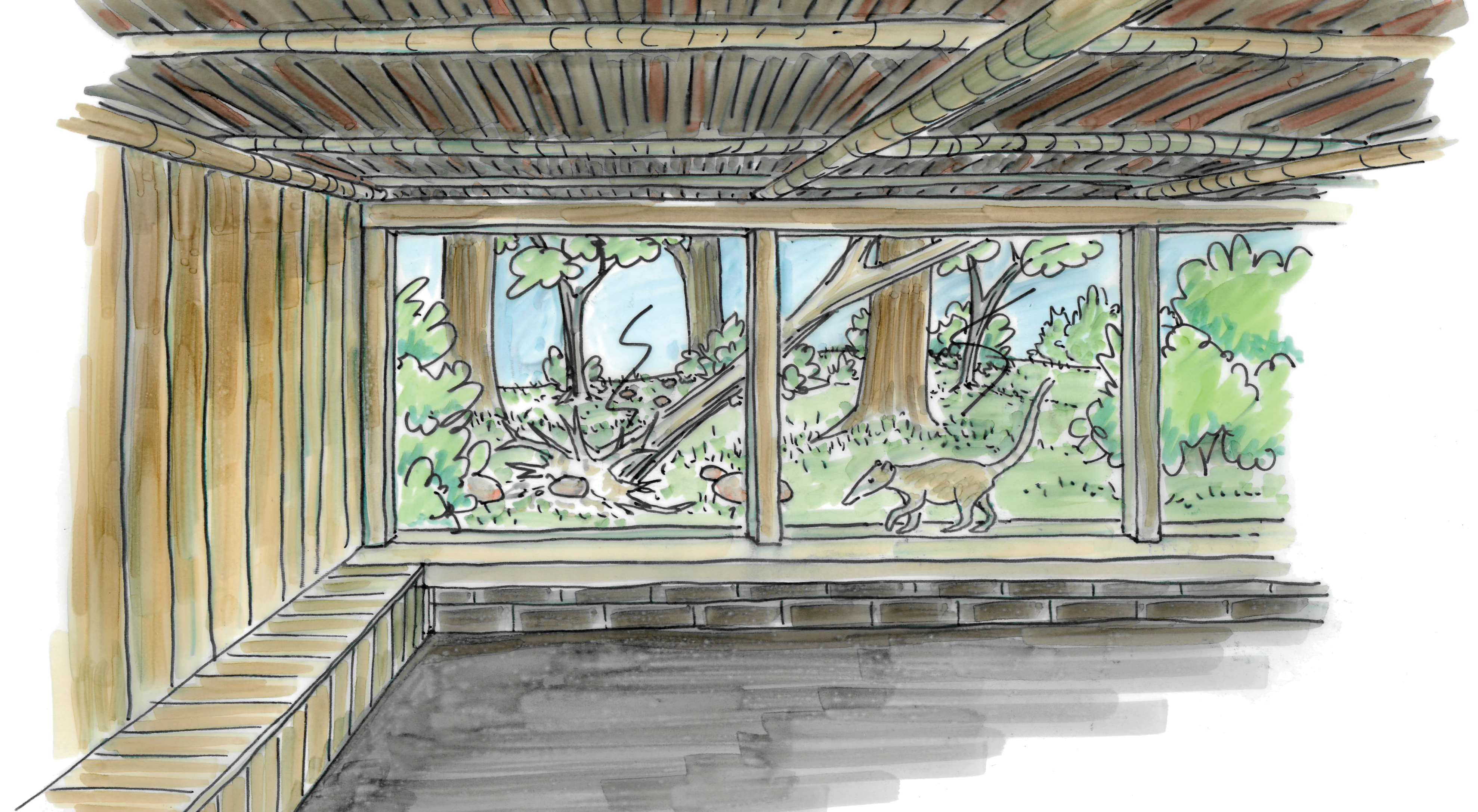 Build of new animal enclosures at Burgers' Zoo