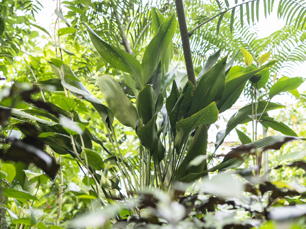 Looking for a place to sleep?