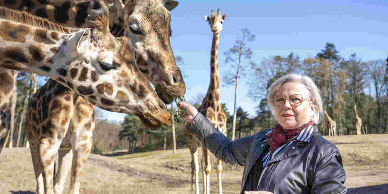 Colourful professions at a dynamic zoo