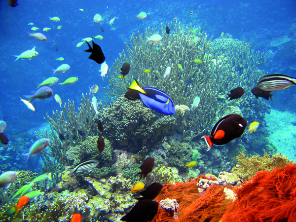 ad1b0618-449b-422b-a77b-f5ca68ba4024