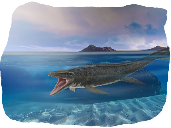 efa98a29-fe2d-4dd9-be02-0be8135b01be