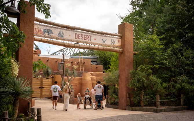 Burgers' Zoo opens Desert after extensive remodelling