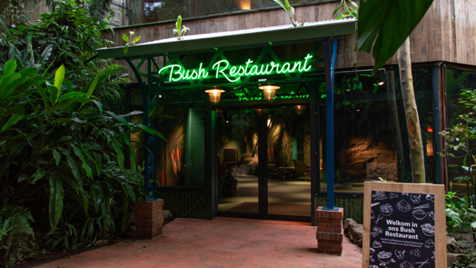 A beautiful hospitality experience in the middle of the tropical rainforest!
