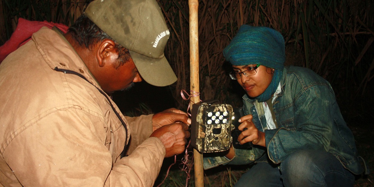 Costa Rican sloth, Brazilian armadillo and Indian fishing cat win nature conservation prize