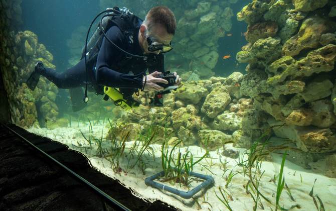 Burgers' Zoo developing world's largest seagrass aquarium