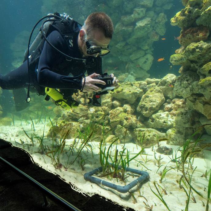 Burgers' Zoo developing world's largest seagrass aquarium