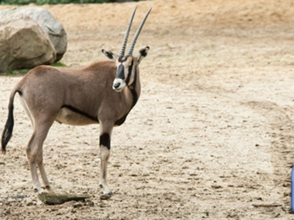 a2c1af2c-7d52-444c-ad2c-3bbefab25f40