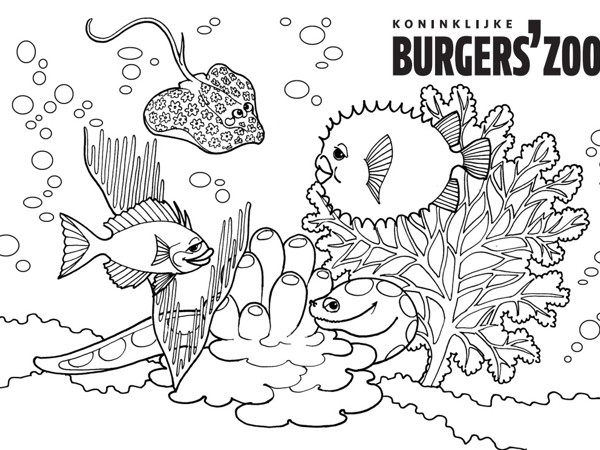 98a30aa5-d23c-4464-973b-ebdd758575f8