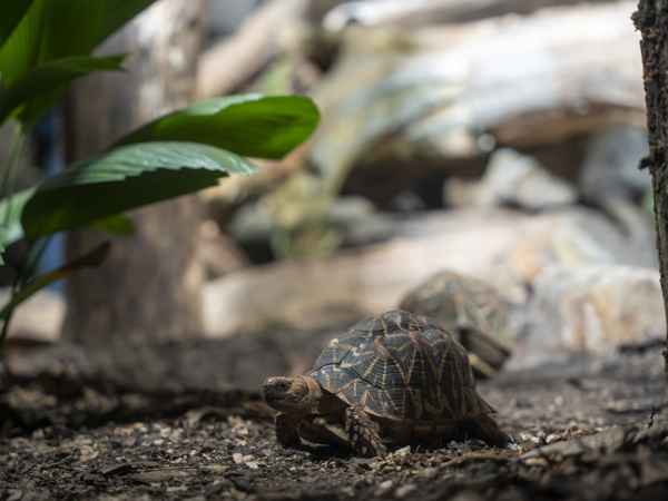 bb7ab578-1fb6-429b-8652-62d55ae0d564