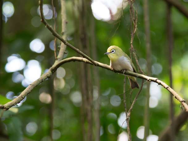 A sustainable ecosystem