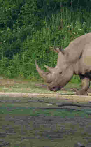 Welcome to Burgers' Zoo!