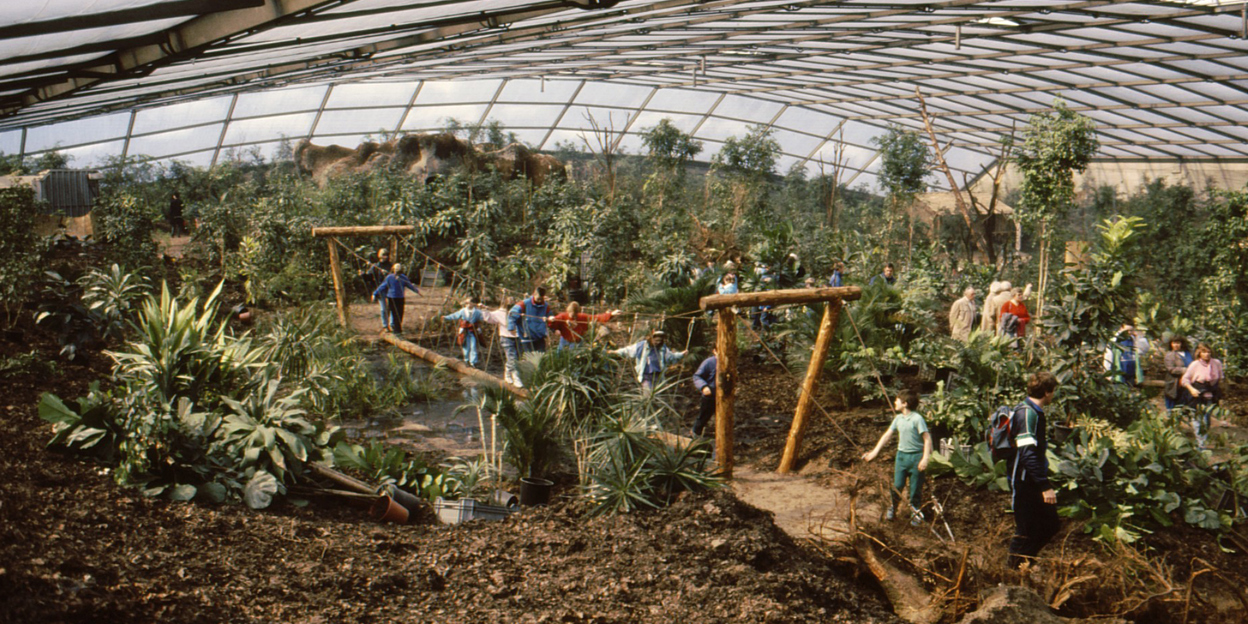 Revolutionary project in the world of zoos Burgers' Bush celebrates 30th anniversary