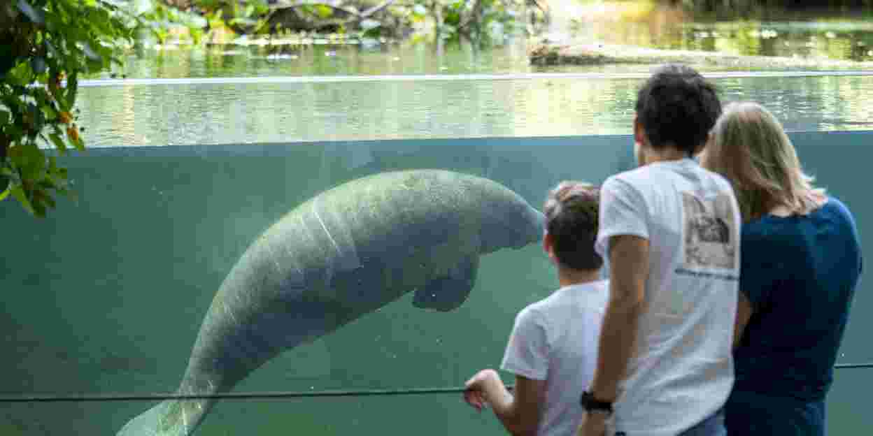 Burgers' Zoo proud of two Michelin stars