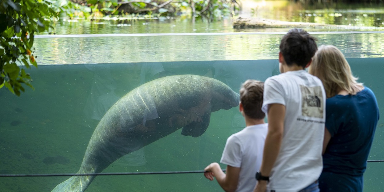 Burgers' Zoo proud of two Michelin stars