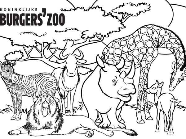 0816515d-051f-47b9-8e81-de7e5fc73ad1