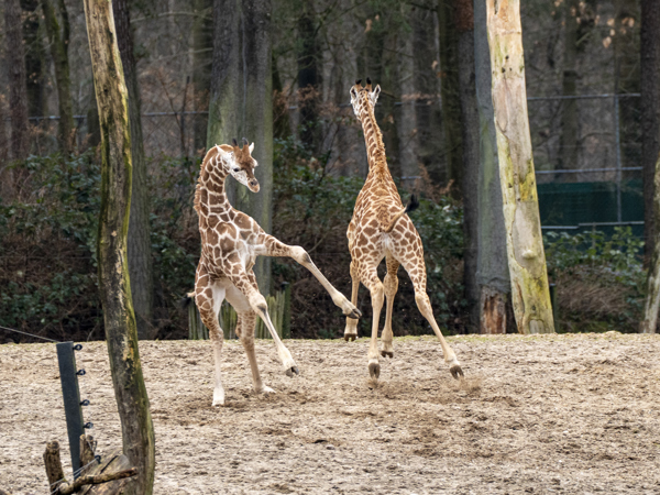 88cf8d3c-c16b-4cd3-aca2-6f5c68a68fe7