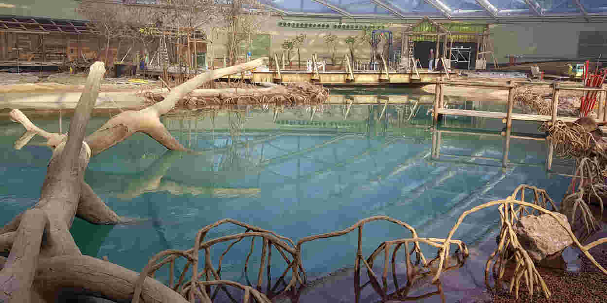 Burgers' Zoo opens largest indoor mangrove in the world!