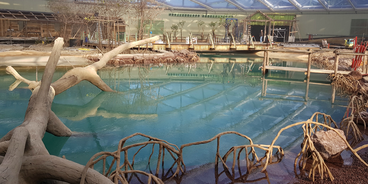 Burgers' Zoo opens largest indoor mangrove in the world!