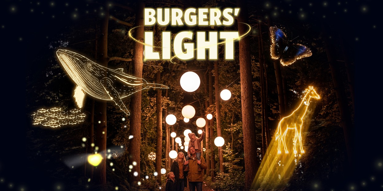 Adventurous firefly sparks spectacular light show at Burgers’ Zoo