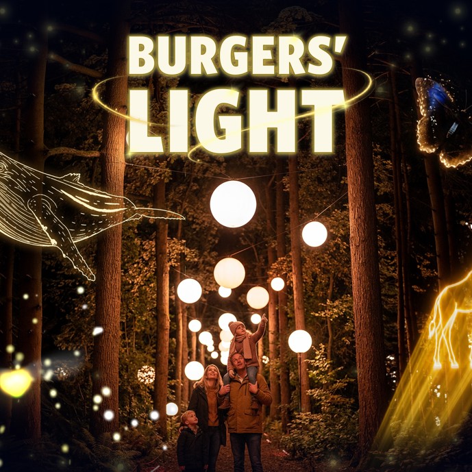Adventurous firefly sparks spectacular light show at Burgers’ Zoo