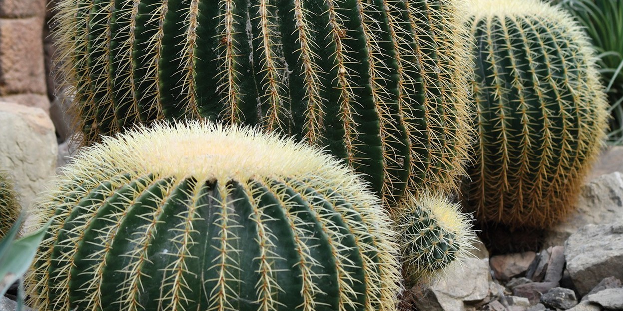 A Spikey Footstool
