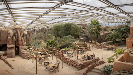 Burgers' Zoo starts extensive renovation of Desert