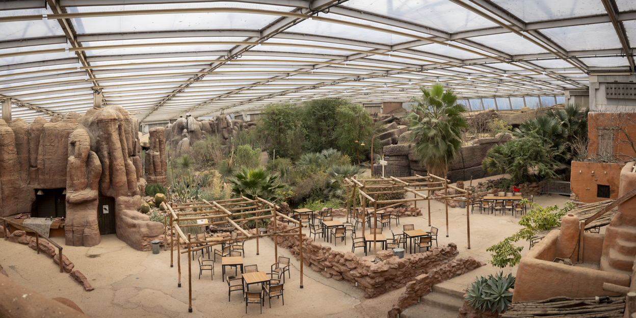 Burgers' Zoo starts extensive renovation of Desert
