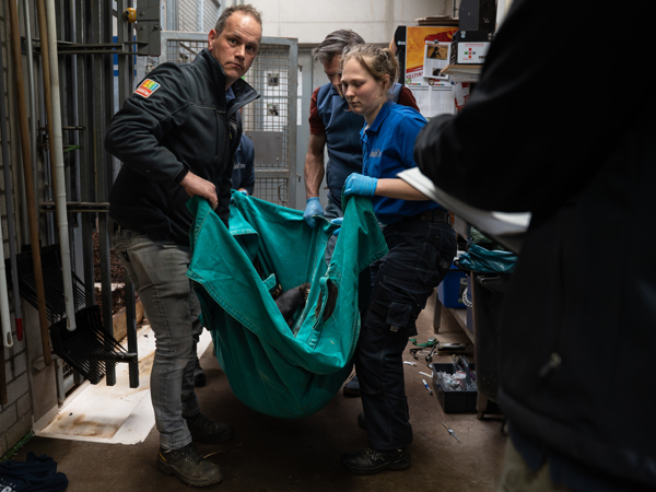 7990ddf5-44cd-4844-a591-9b0de27e5216