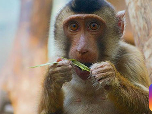 7ccb09d4-35cd-46c9-b3ec-cc911d55ed73