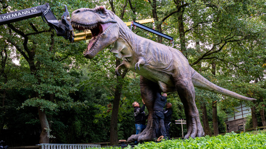 Burgers' Zoo hoists upper body onto four-metre-tall dinosaur