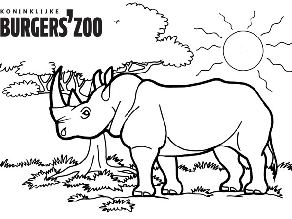 81f0b428-7aec-45ef-8465-73c608f21af9