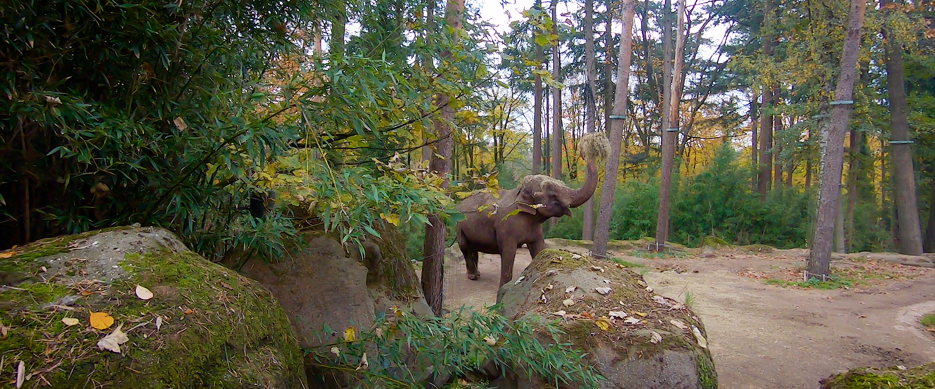 Eco display | Royal Burgers' Zoo