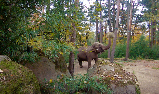 Eco display | Royal Burgers' Zoo