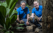 Burgers' Zoo rehomes tortoises after confiscation