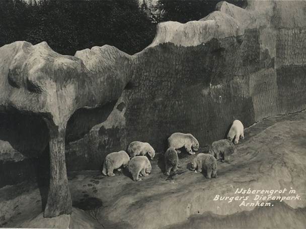 Natural habitats (1934)