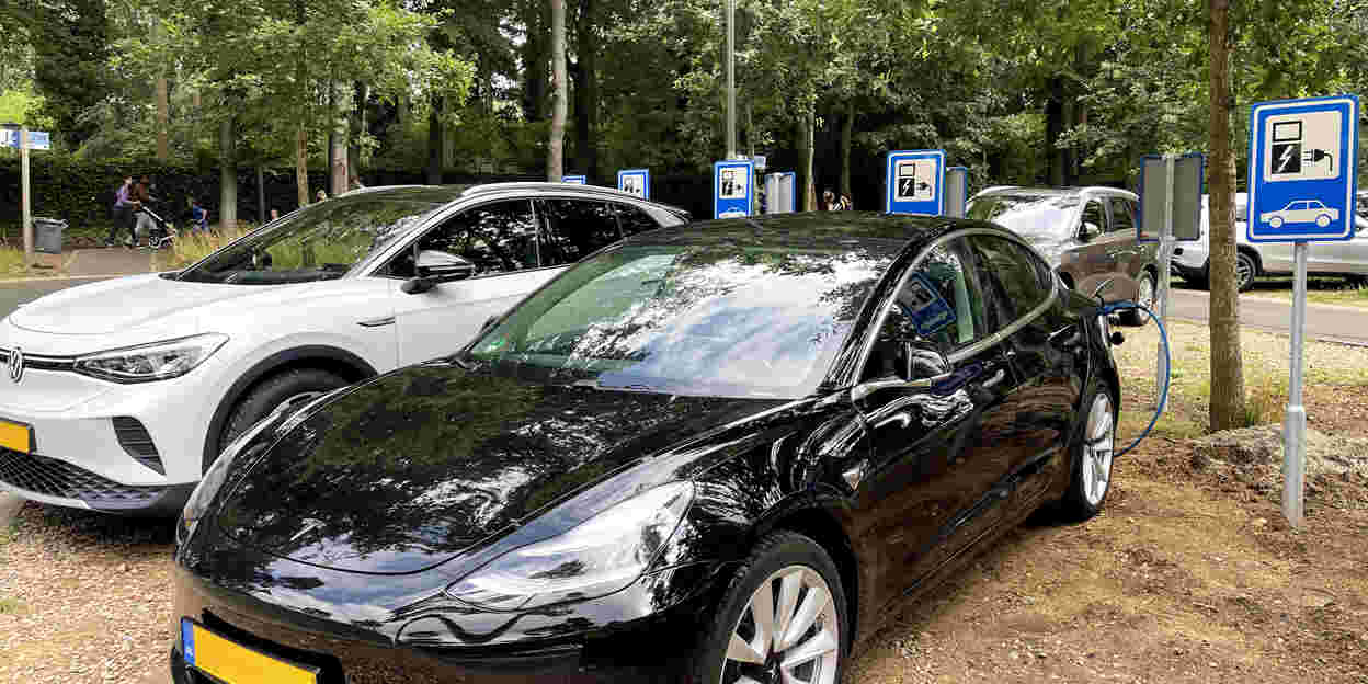Burgers' Zoo installs 12 charging stations for 24 electric vehicles