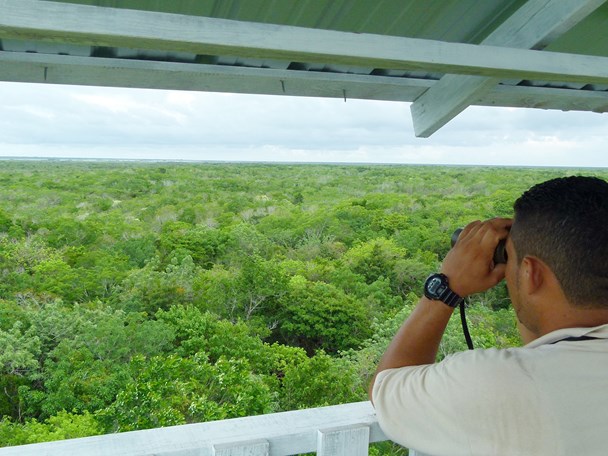 Nature conservation in Belize