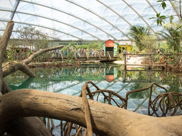 A bit of Belize in the Netherlands (2017)