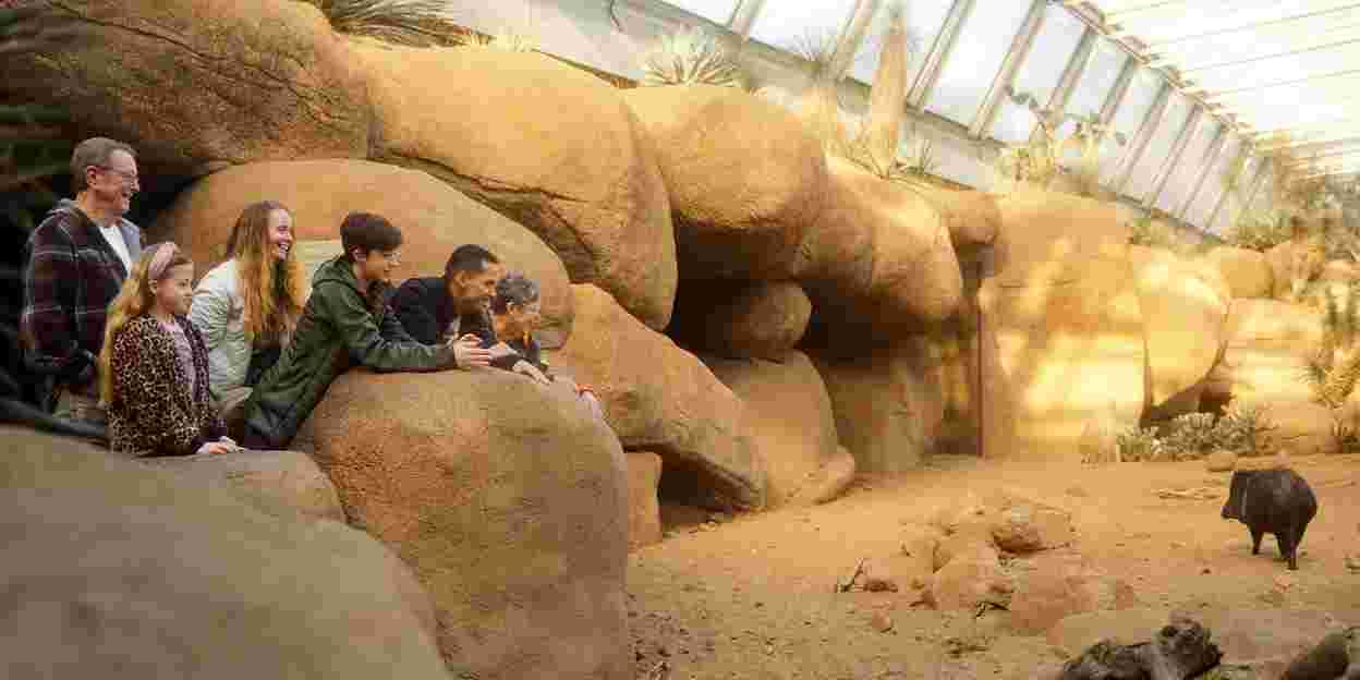 What is an eco-display? The Desert