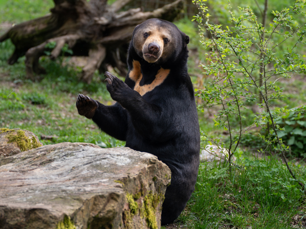 a43cdb75-acac-4589-ac3b-b8c92b5eb6aa