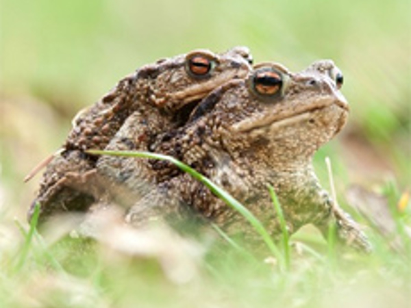 8fb7028b-fa4e-4ff3-b117-541e31641108