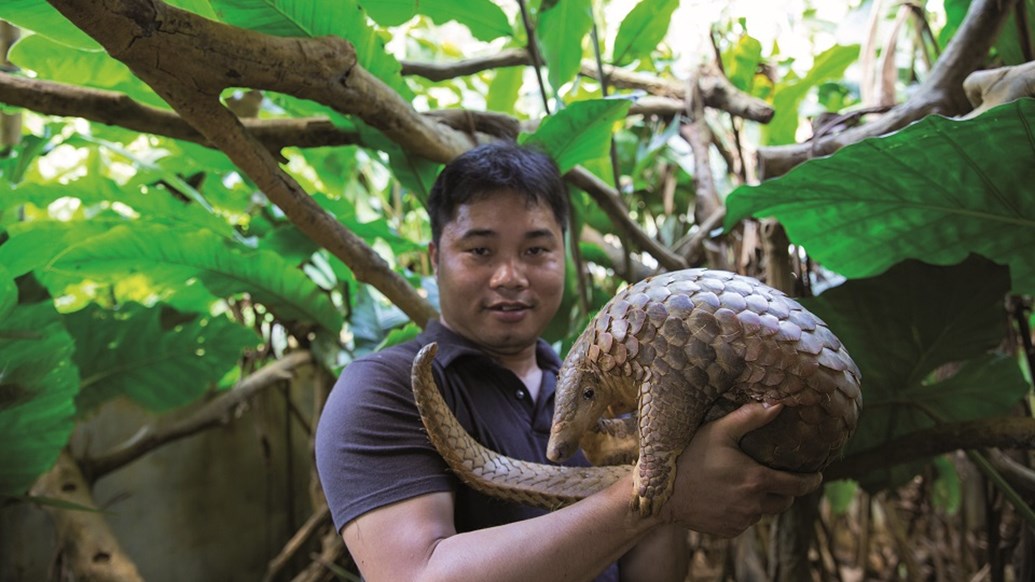 Nature conservation: Save Vietnam's Wildlife (SVW)